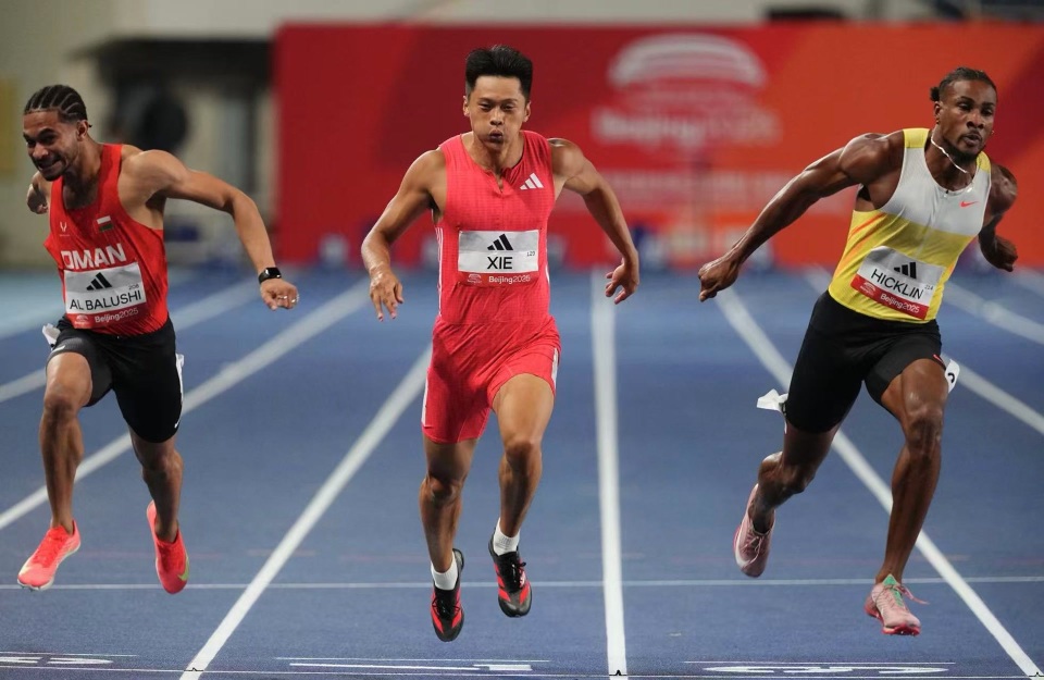 我会为大家 我会为大家